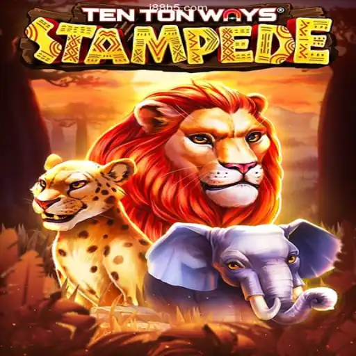 Exploring TenTonWaysStampede: The Latest Sensation in Online Gaming